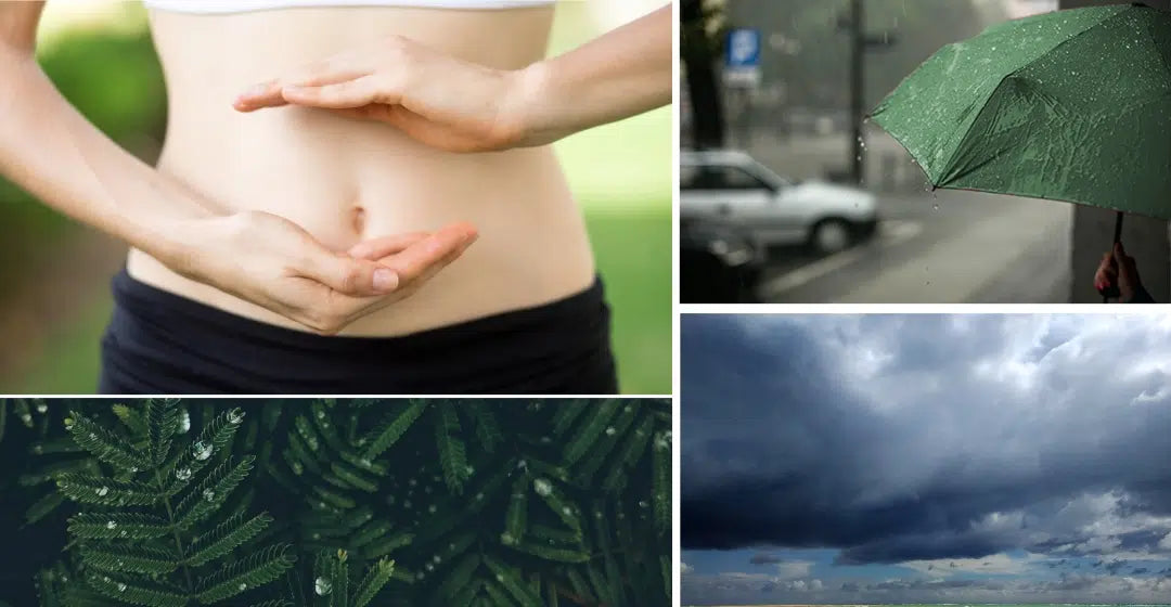 Immunity booster tips is rainy season