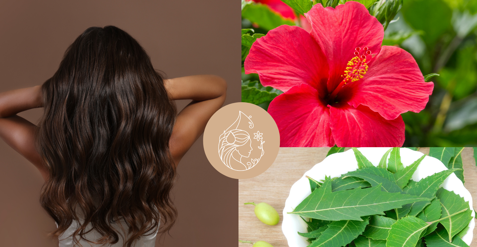 10 Hair Care Tips: How to Take Care of Your Hair This Winter Season