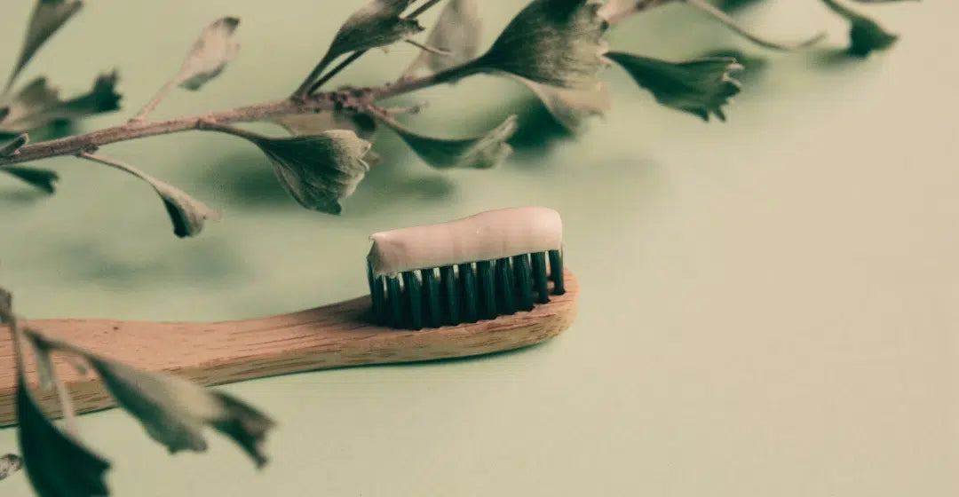 Dantadhawan: Ayurveda’s Holistic Approach to Oral Health