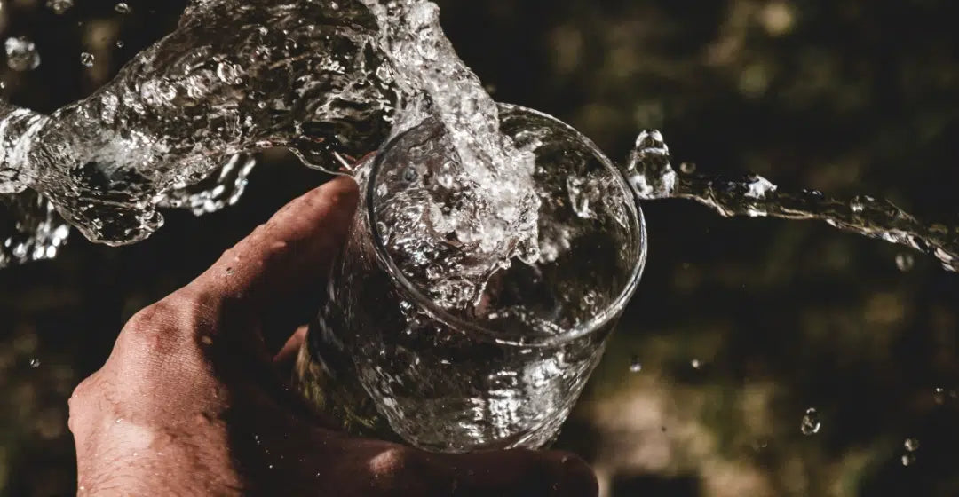 Water Intake for uterine health | Charya Insights