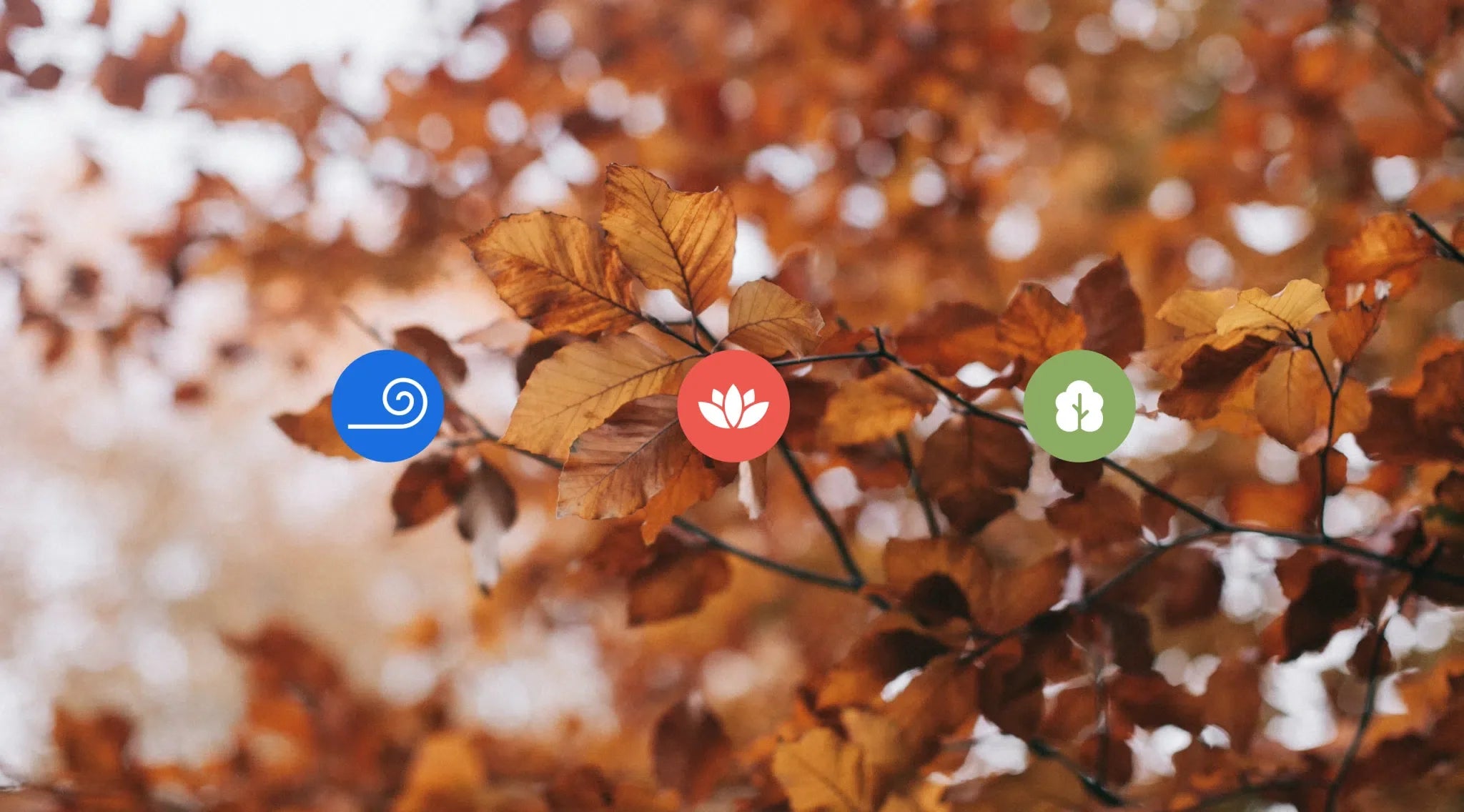 Dincharya tips for "Sharad Rutu" | Charya Ayurveda