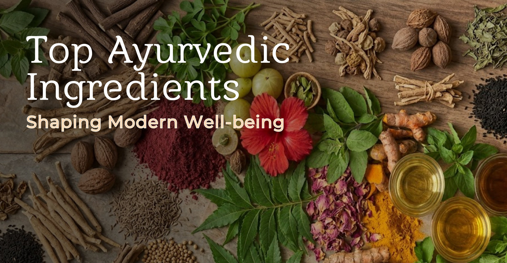 Top Ayurvedic Ingredients Shaping Modern Well-being — and Why We Chose Them for Charyā Formulations