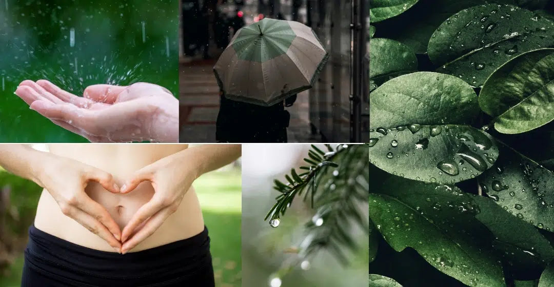 Ayurveda Daily Routine in varsha rutu