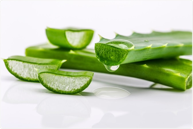 Aloe Vera Extract