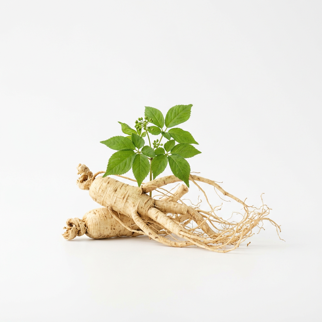 Korean Ginseng