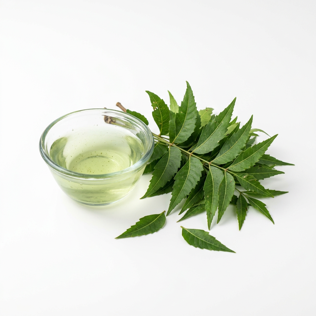 Neem Water