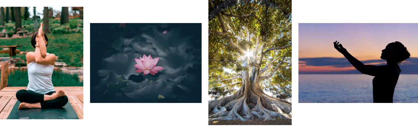 Ayurveda Daily Routine