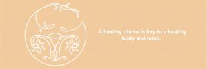 Healthy-uterus